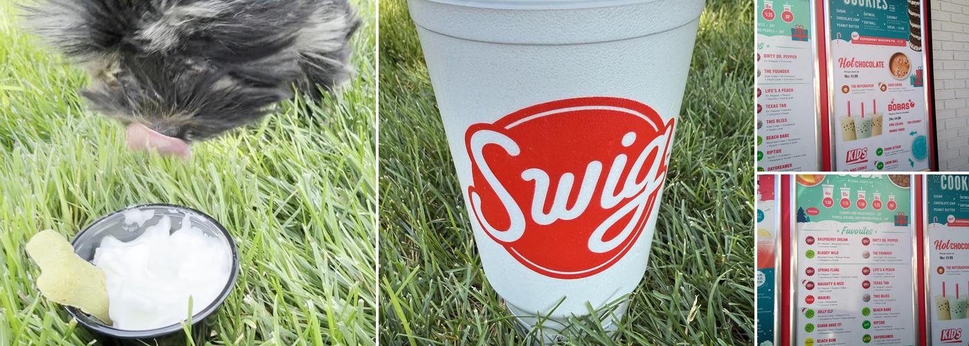 Swig Menu