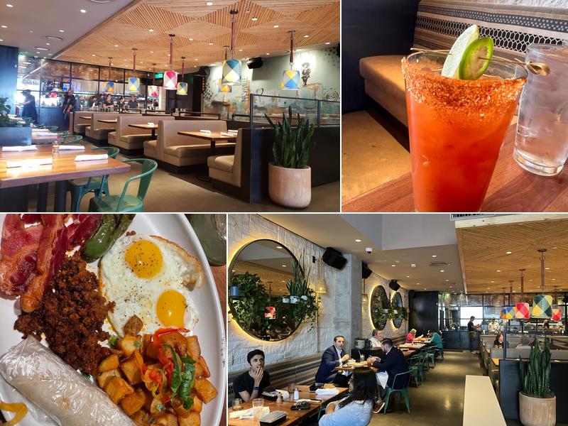 Blanco Cocina + Cantina