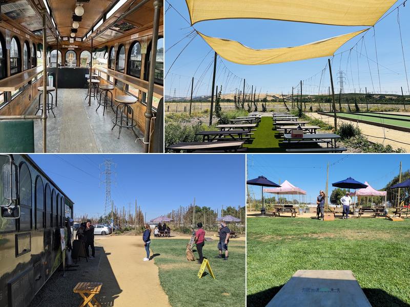 Homegrown Hops Brewing