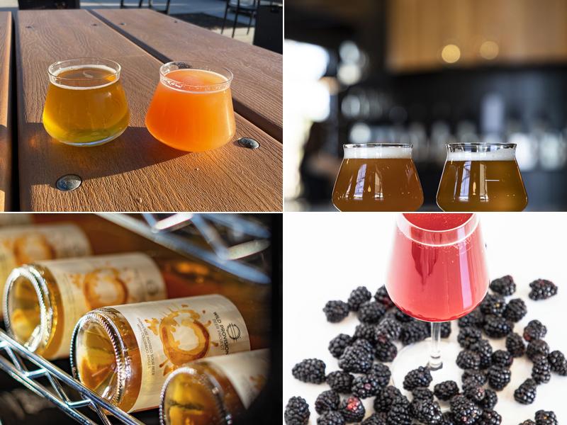 Wild Provisions by 4 Noses Brewing Company