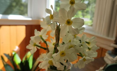 Coldwell Banker Sea Coast Advantage