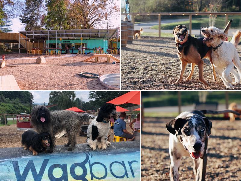 Wagbar 320 Merrimon Ave, Weaverville