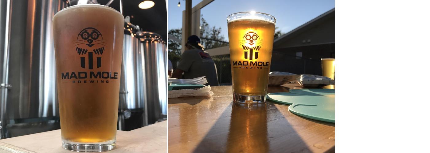 Mad Mole Brewing Menu