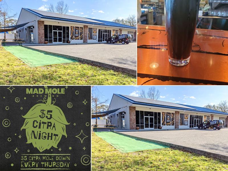 Mad Mole Brewing 6309 Boathouse Rd unit c, Wilmington