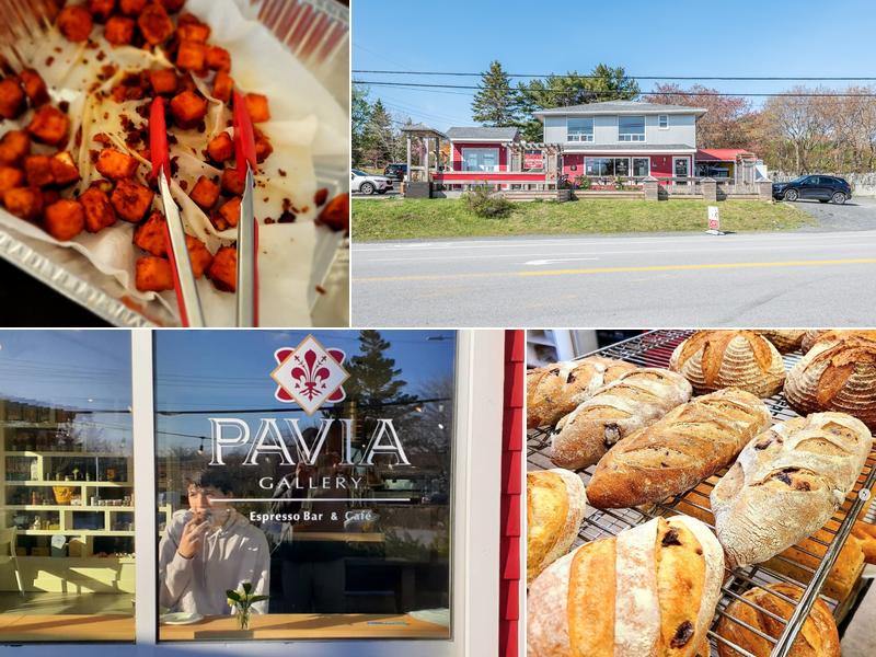 Pavia Gallery - Espresso Bar & Café