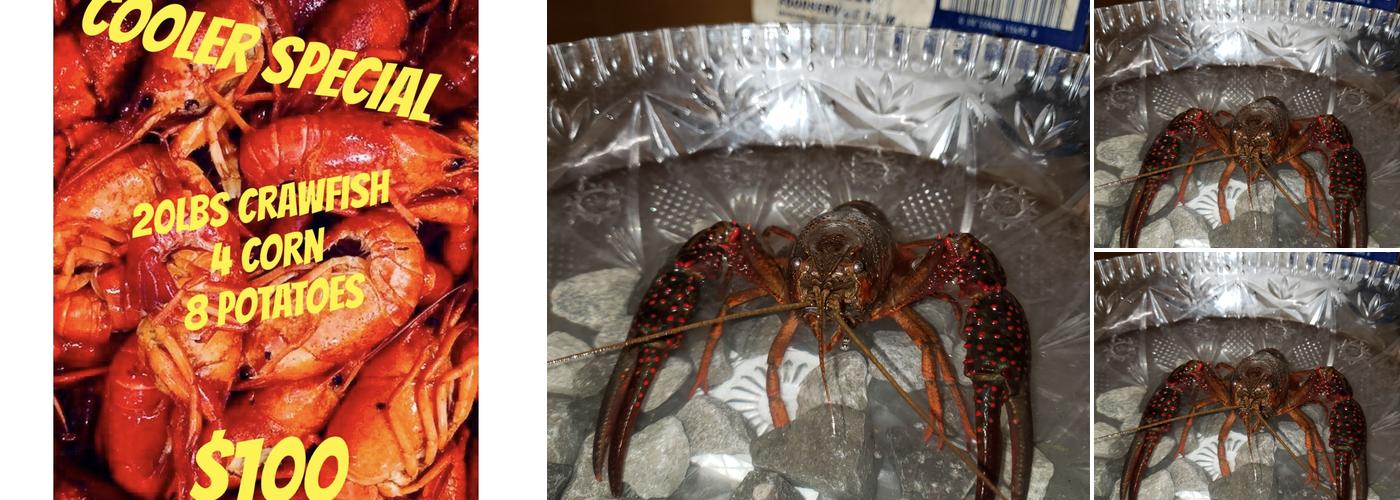 T'Beaux's Crawfish and Catering