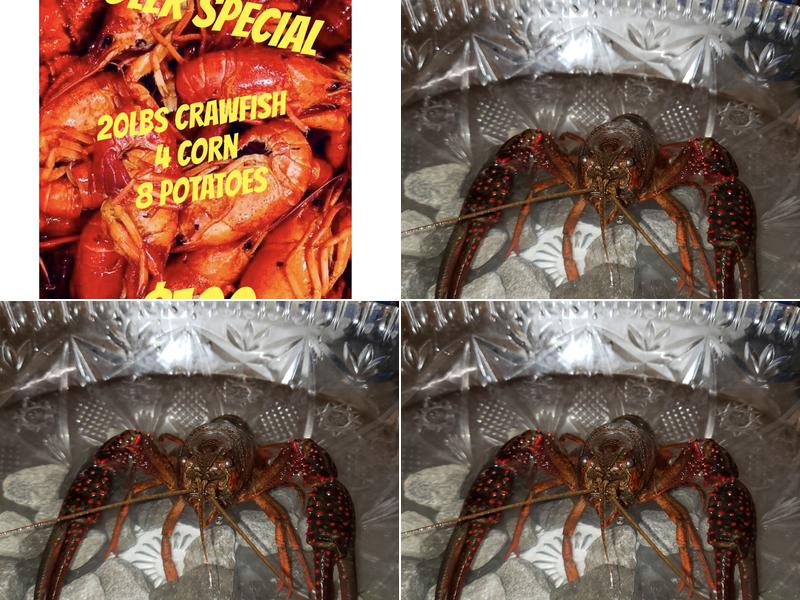 T'Beaux's Crawfish and Catering
