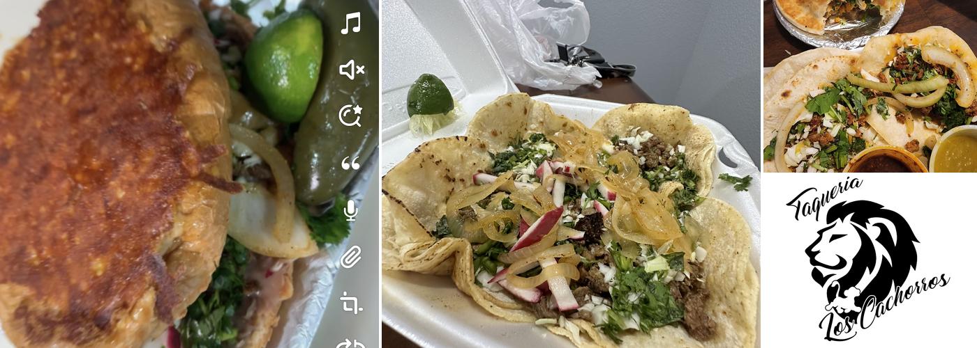 Taqueria Los Cachorros