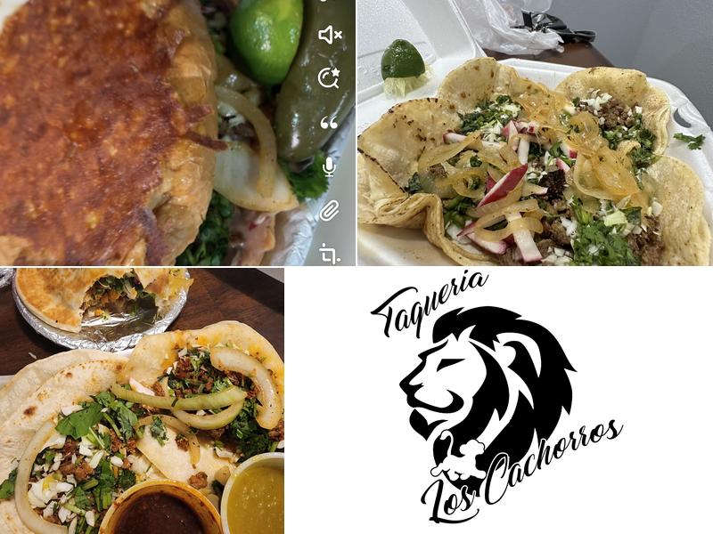 Taqueria Los Cachorros