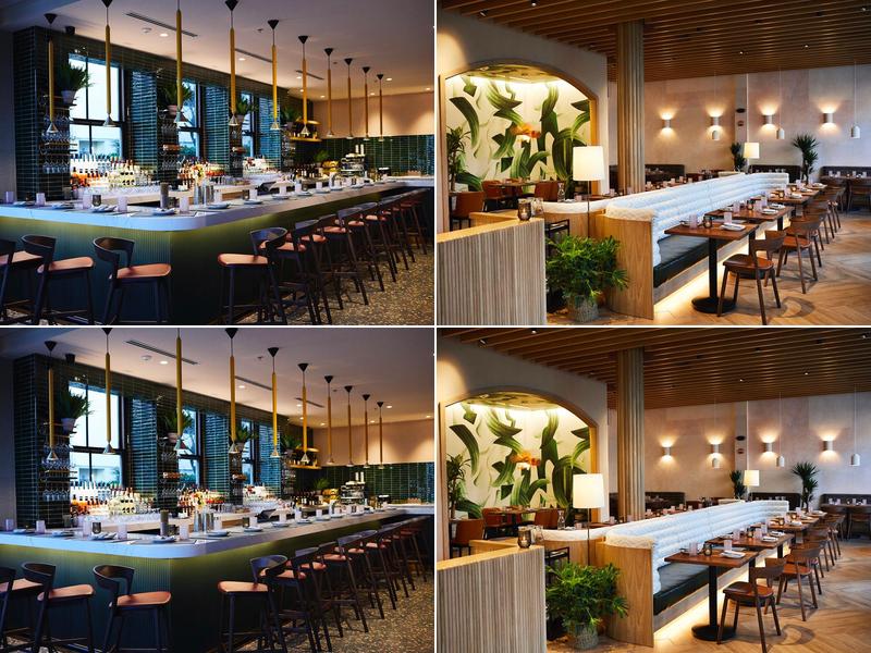 PLANTA 4910 Elm St, Bethesda