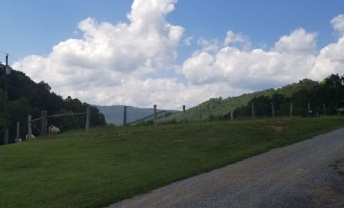 M&S Maple Farm Upper Tract