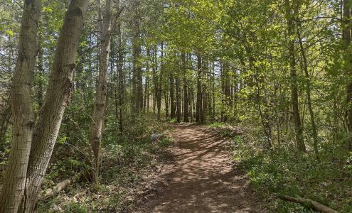 Happy Tails 715362 Township Rd 4, Woodstock Ontario N4S 7V9