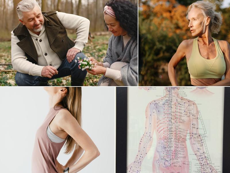 Avon Chiropractic Center: Berki George D DC