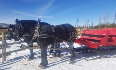 Dashing Thru the Snow Fraser