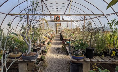 Plants For The Southwest