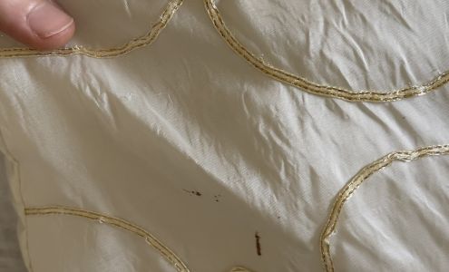 Best Natural Cleaners