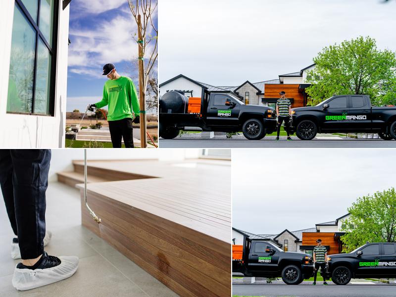 Green Mango Pest Control