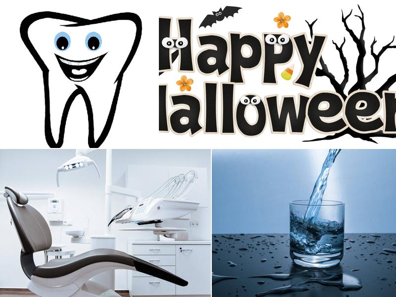 David R. Stebbins, D.M.D.