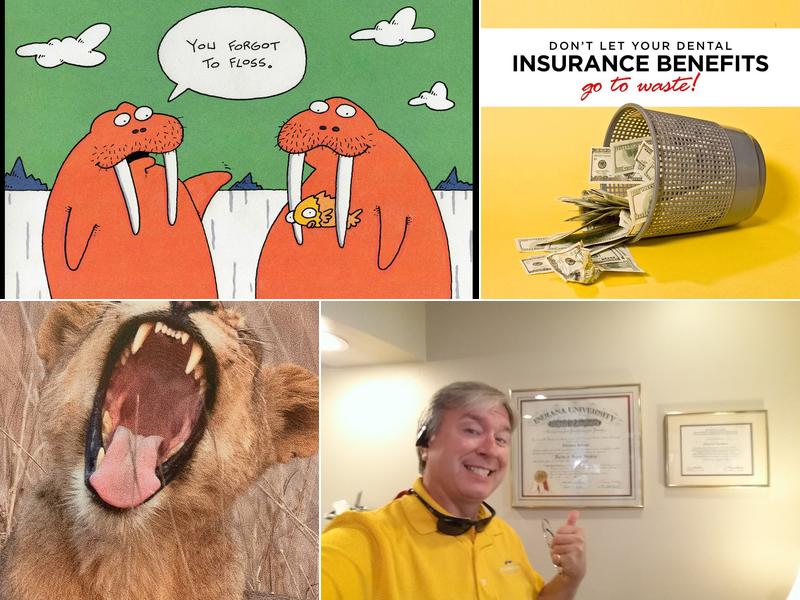 Christina Rudman DDS