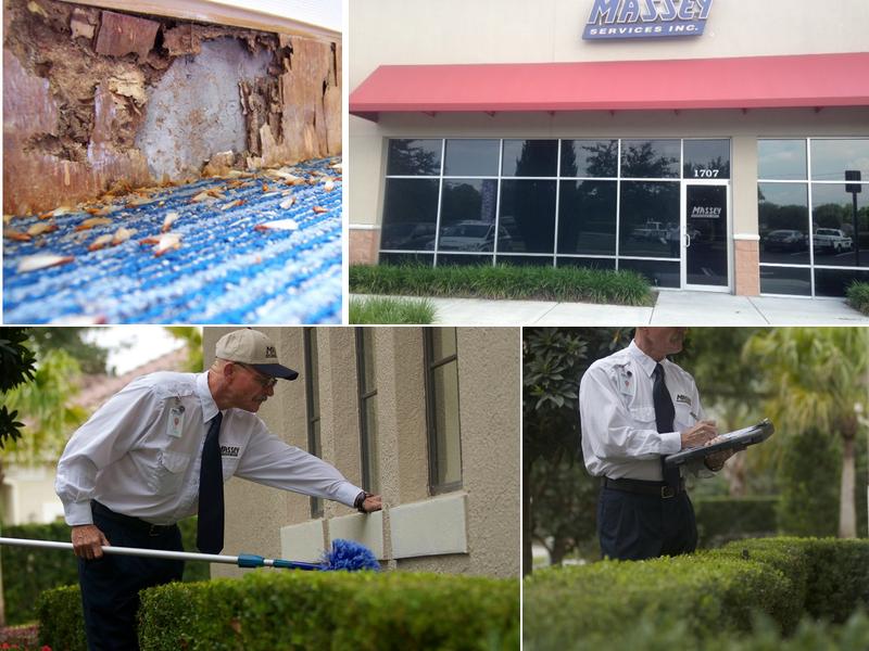 Massey Services Pest Control