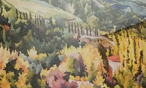 NorthShore Medical Group - Glenview