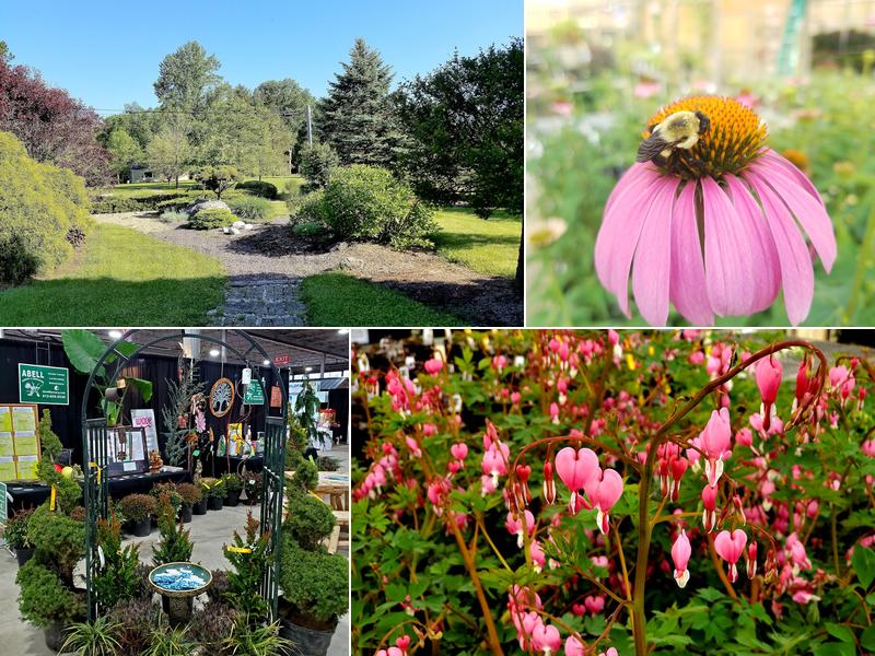 Abell Nursery & Landscape