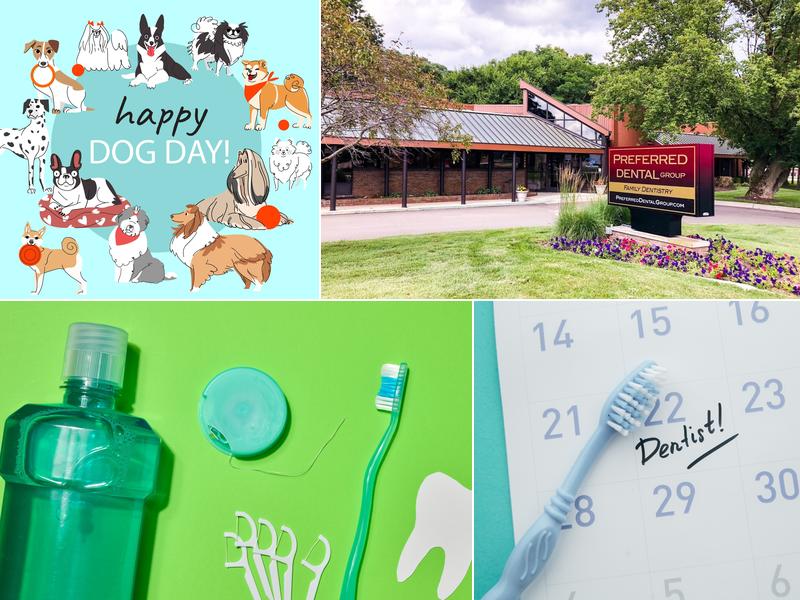 Preferred Dental Group