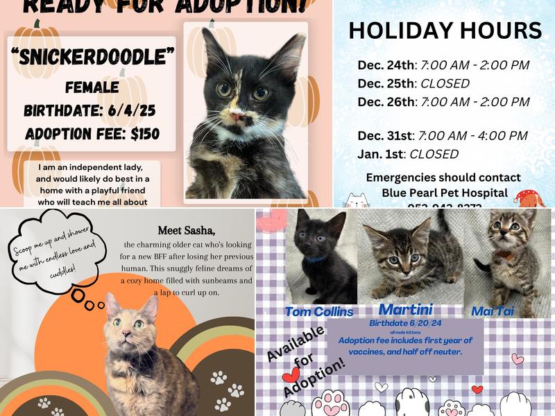 Hopkins Pet Hospital - David Spong DVM.