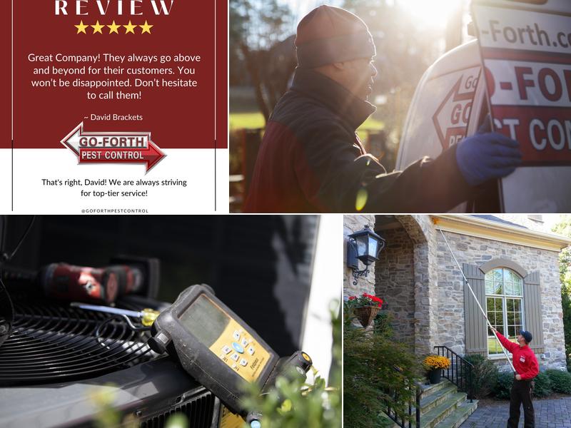 Go-Forth Pest Control