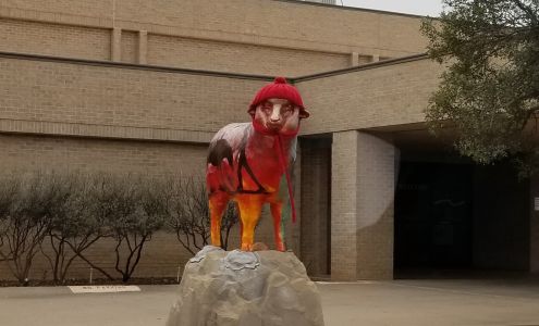 West Texas Medical Associates