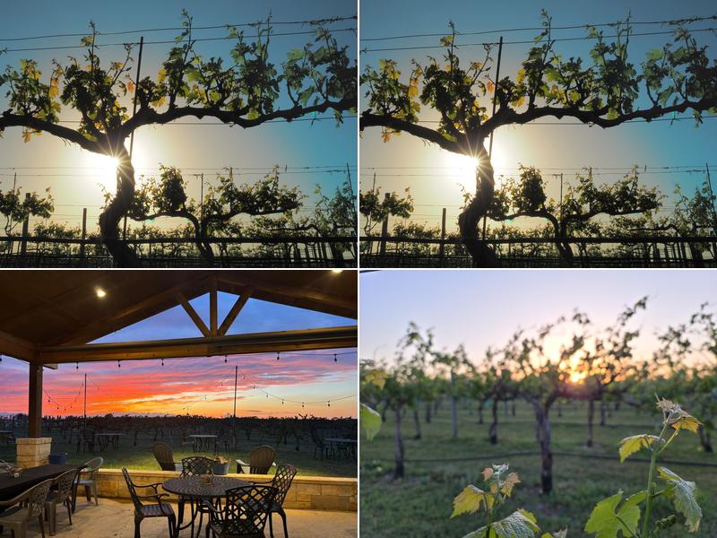 3 Texans Winery and Vineyard