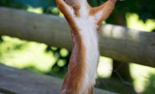 Fossil Creek Family Med Center: Schlemmer Tanya G