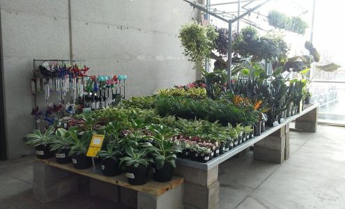 Garden Center at The Home Depot