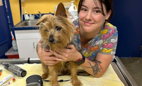 Kempsville Veterinary Hospital: Hewitt Diana DVM