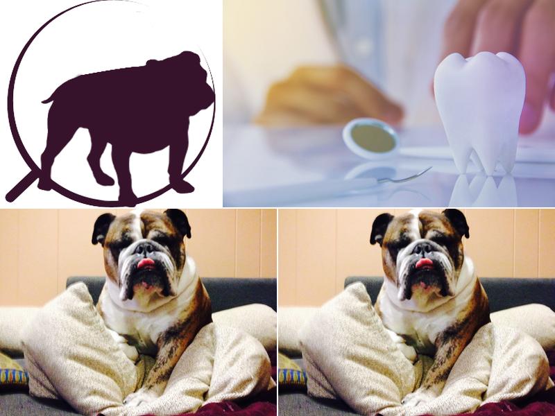 Dr. Burton Ogata and Associates