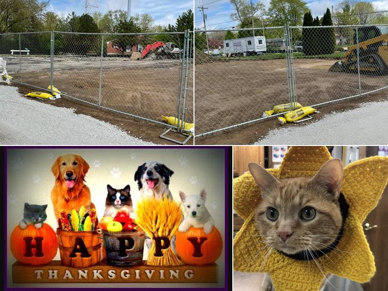 Racine Veterinary Hospital Inc: Mano Tom DVM