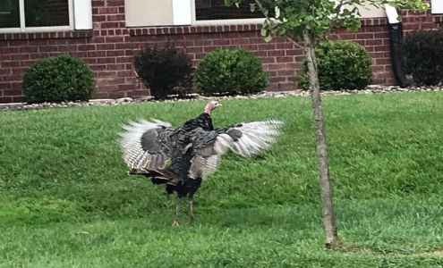 Moreland Family Medicine