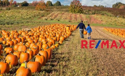 RE/MAX Results