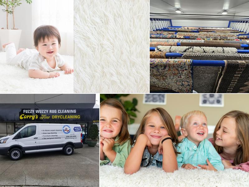 Fuzzy Wuzzy Rug Cleaning Company