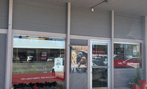 Rachel Alexander - State Farm Insurance Agent