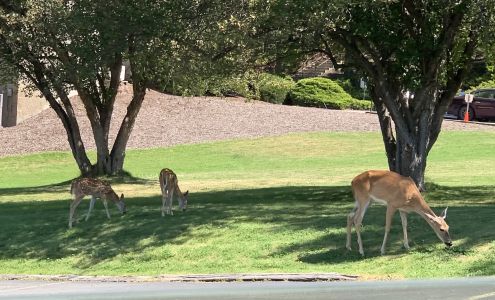 Providence Family Medicine & Maternity Care - South Hill