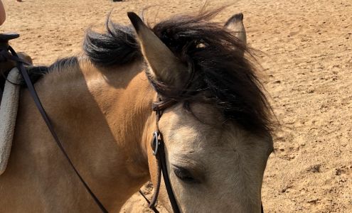 Ogburn Stables Tobaccoville