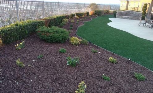 Safa Carpet Dyeing & Cleaning