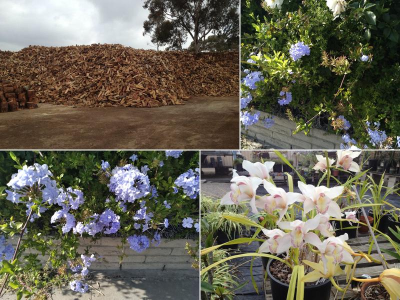 Blue Ribbon Nursery & Landscape Supplies