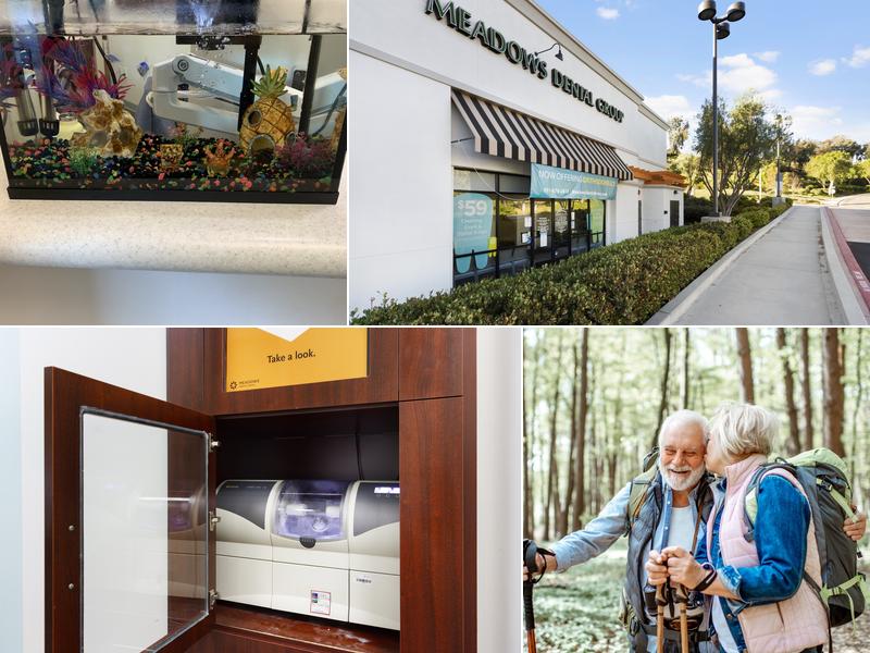 Meadows Dental Group