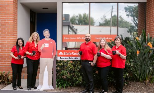Tammy Dobrotin - State Farm Insurance Agent