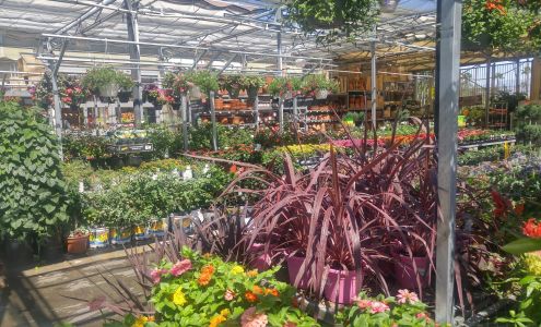 Garden Center at The Home Depot