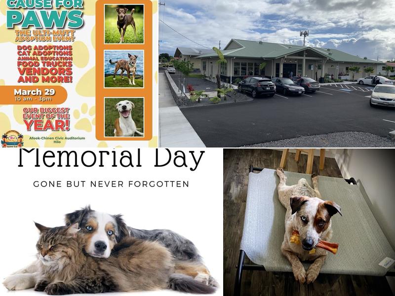 Aloha Veterinary Center