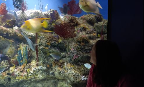 North Carolina Aquarium at Fort Fisher Kure Beach