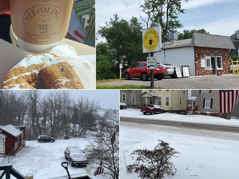 Beeology Coffee & Bakery Company